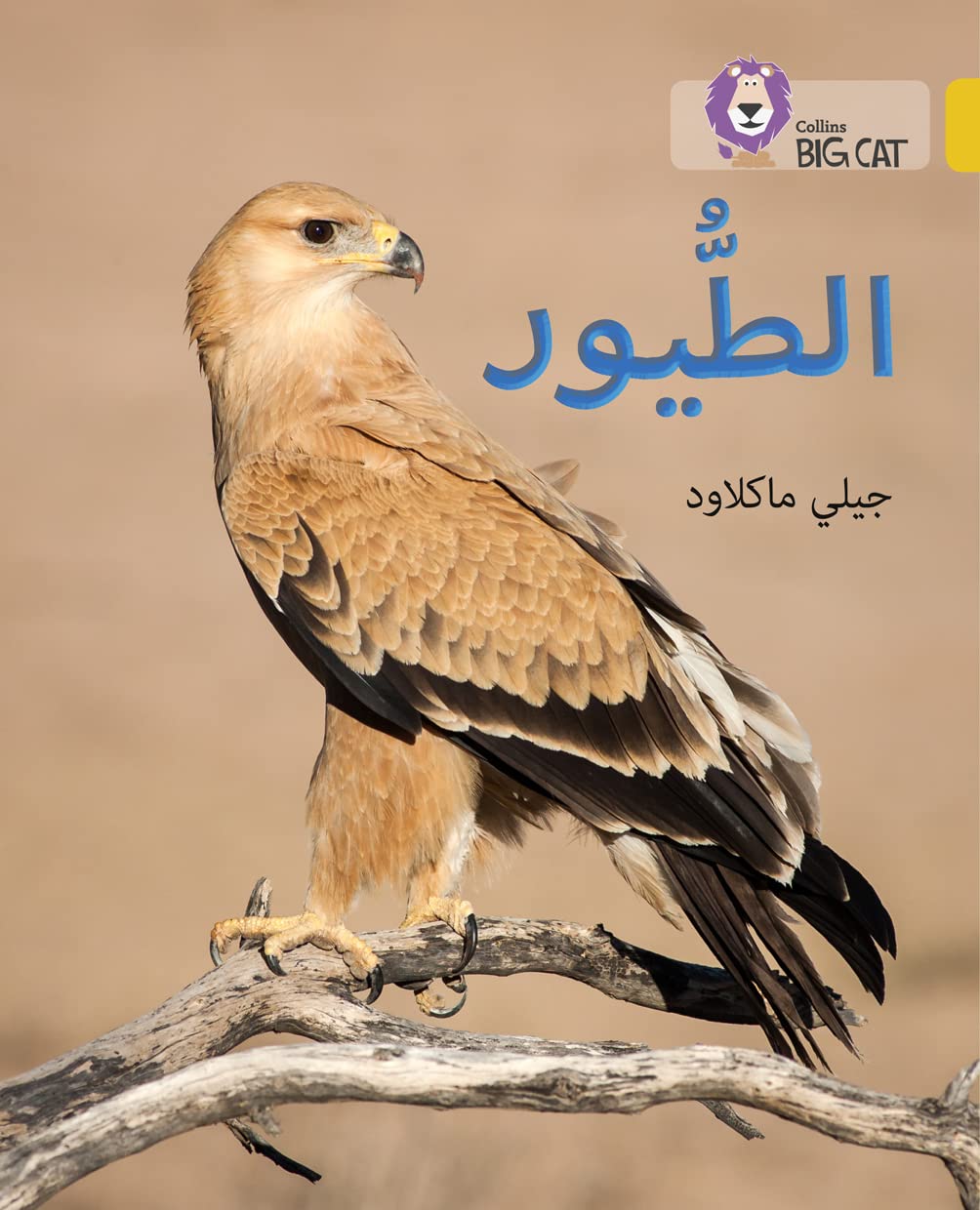 Collins Big Cat Arabic – Birds: Level 9 (English and Arabic Edition)