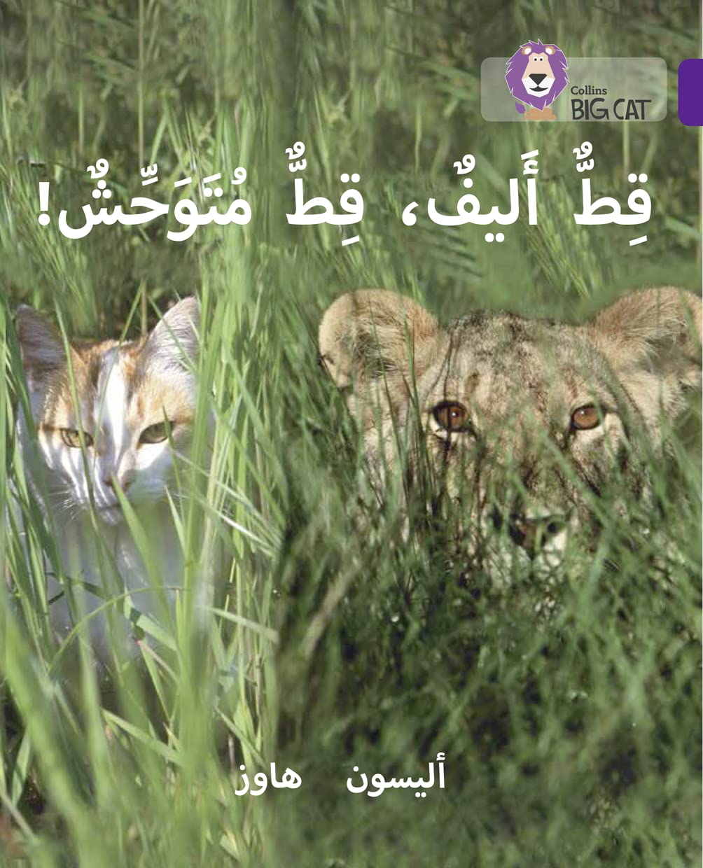 Collins Big Cat Arabic – Tame Cat, Wild Cat: Level 8 (English and Arabic Edition)