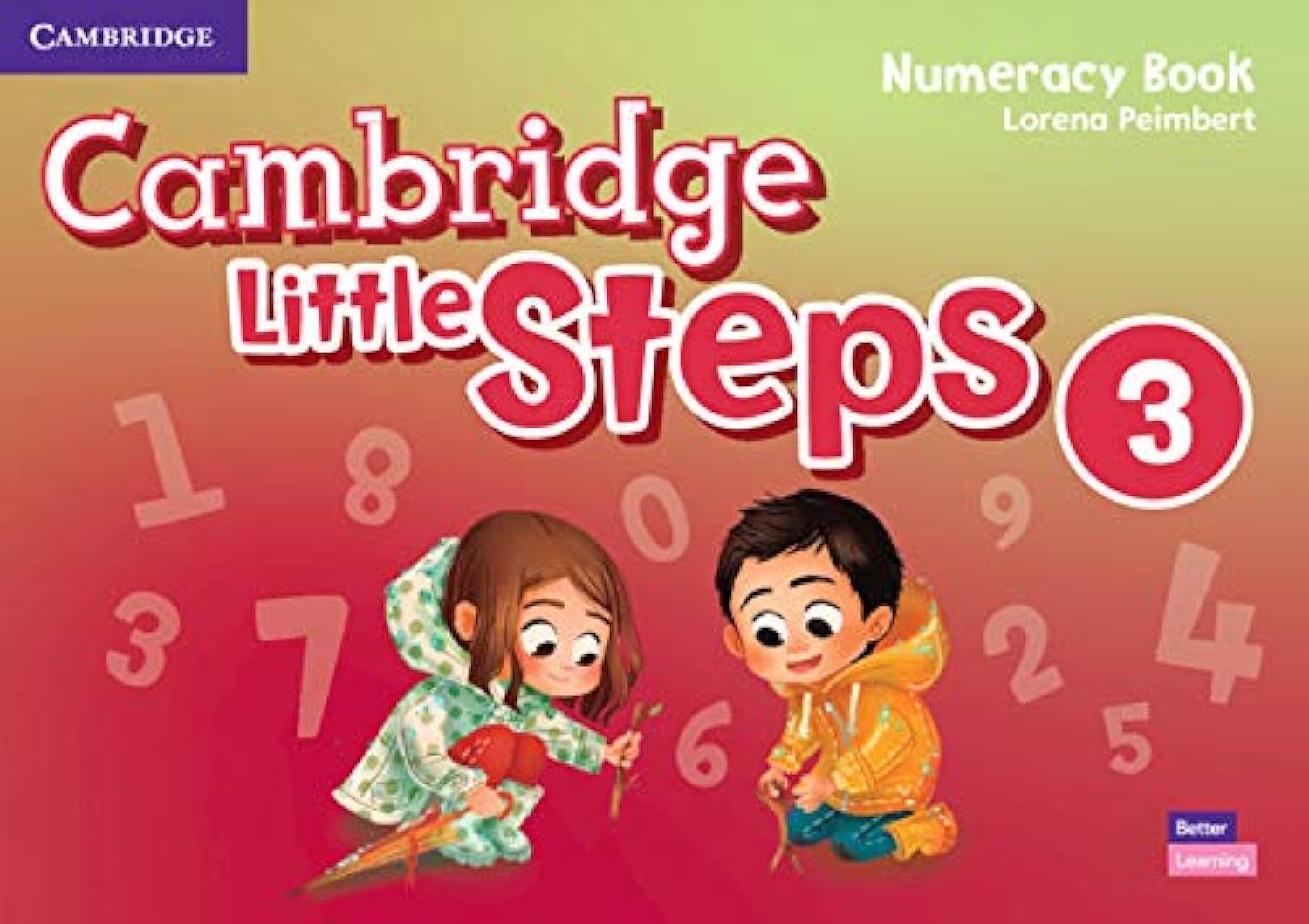 Cambridge University Press Little Steps Level 3 Numeracy Book