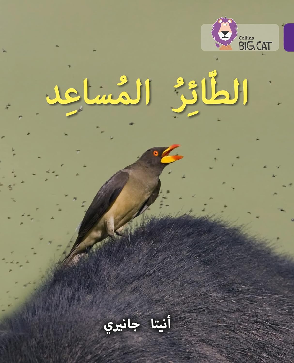 Collins Big Cat Arabic – The Helper Bird: Level 8 (English and Arabic Edition)