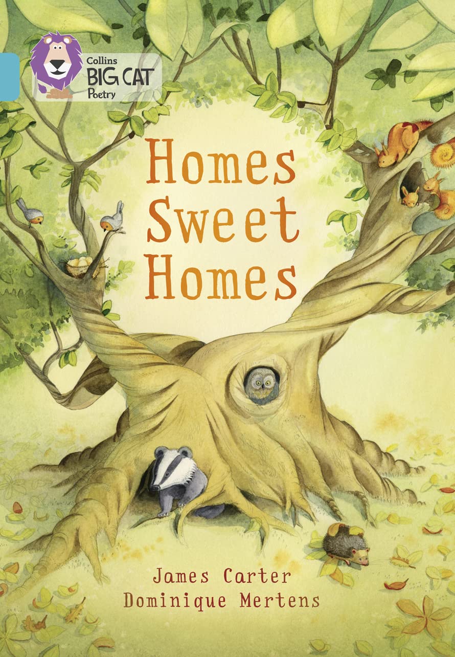 Collins Big Cat ― Homes Sweet Homes: Turquoise/Band 07