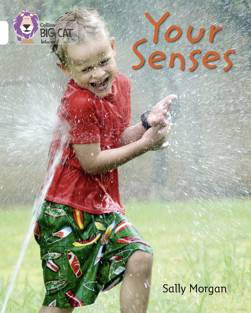 Your Senses: (Collins Big Cat)