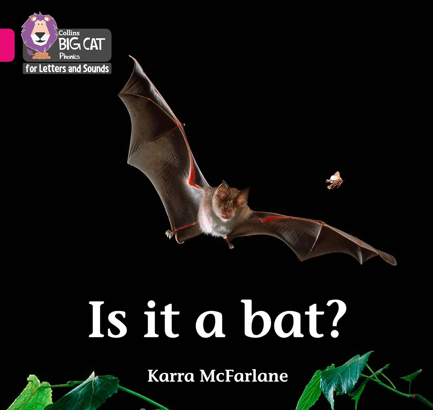 Collins Big Cat Phonics for Letters and Sounds – Is it a Bat?: Band 1B/Pink B