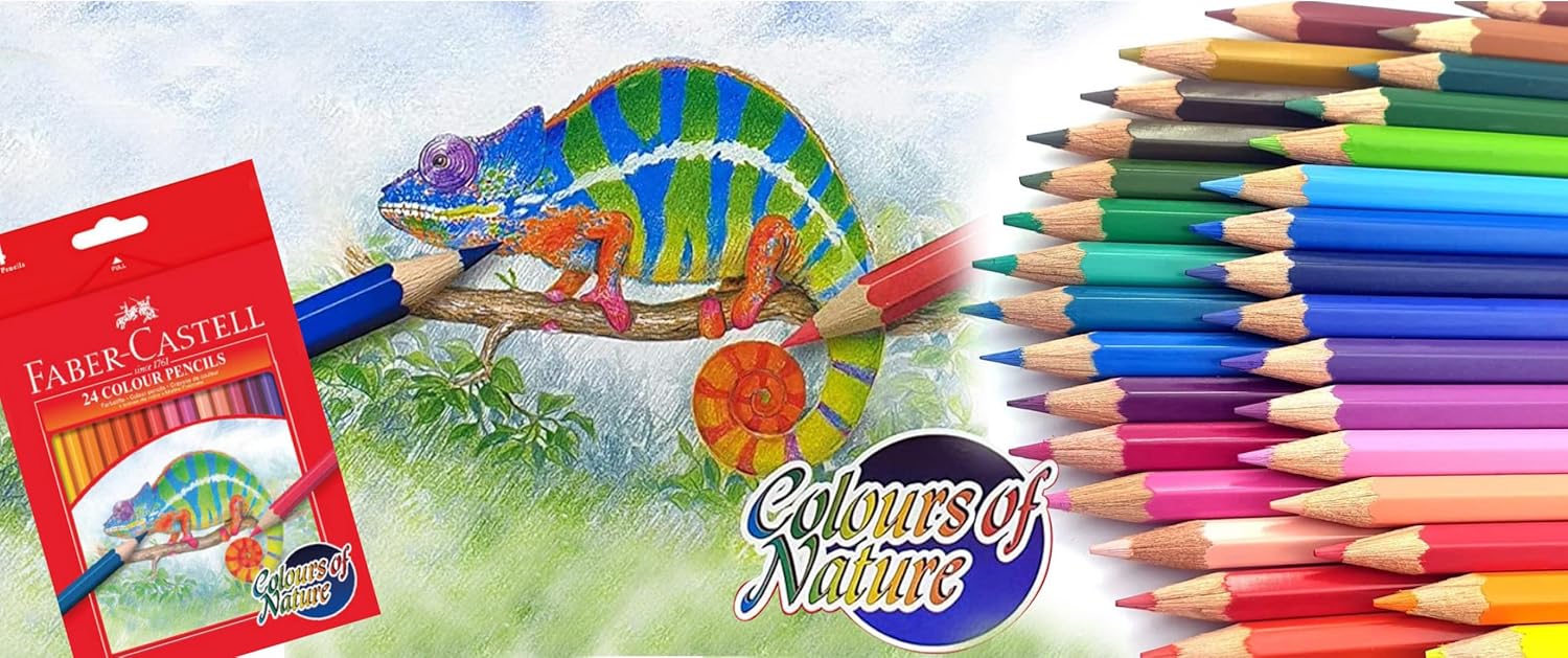 36 COLOR PENCILS ( BRAND FABER CASTELL )