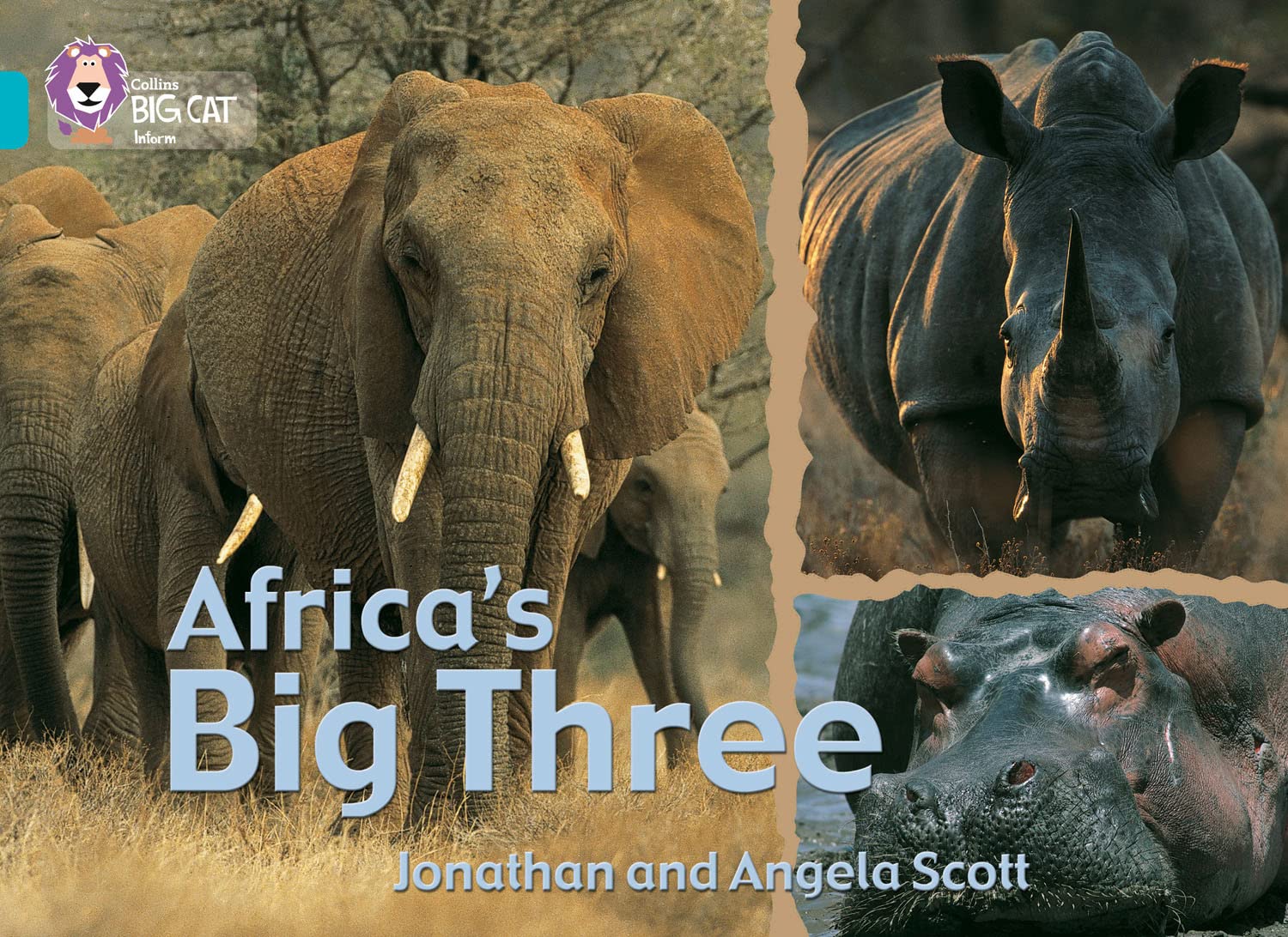 Africa's Big Three: (Collins Big Cat)