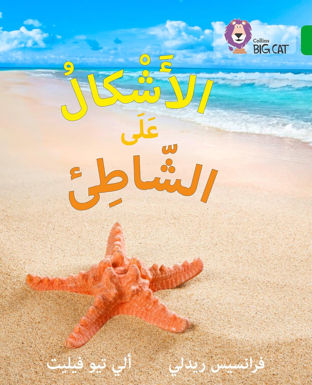 Collins Big Cat Arabic – Shapes on the Seashore: Level 5 (English and Arabic Edition)