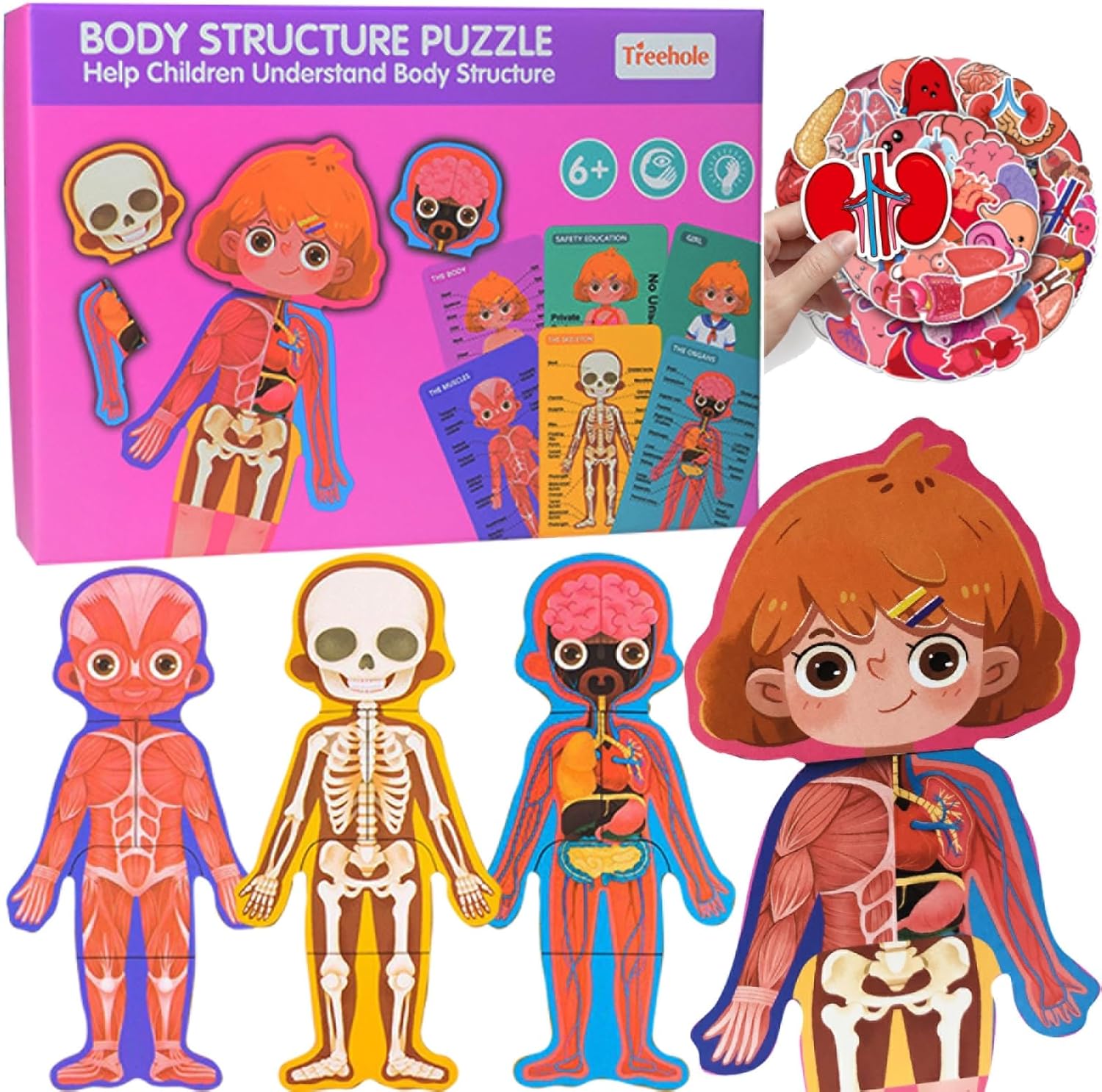 weilishun Human Body Anatomy Toy, 36 Piece Human Body Puzzle Sets with 50 Piece Organ Anatomy Stickers, Preschool and Homeschool Learning Anatomy Puzzle...