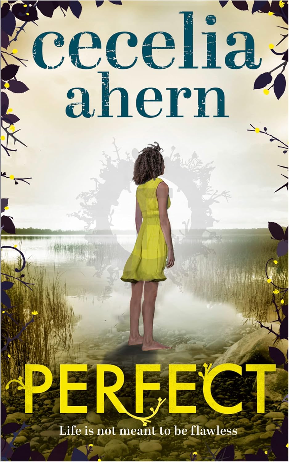 Perfect (Cecelia ahern)