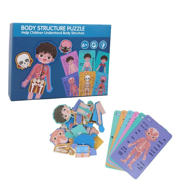 EDUCATIONAL TOYS BOY BODY STRUCTURE PUZZLE