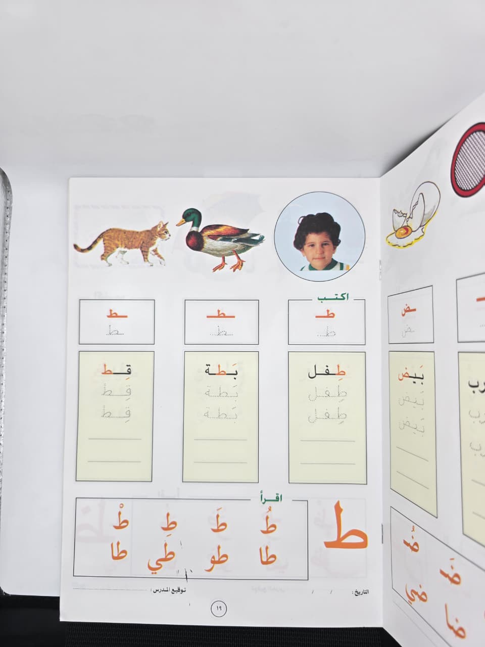 الأضواء