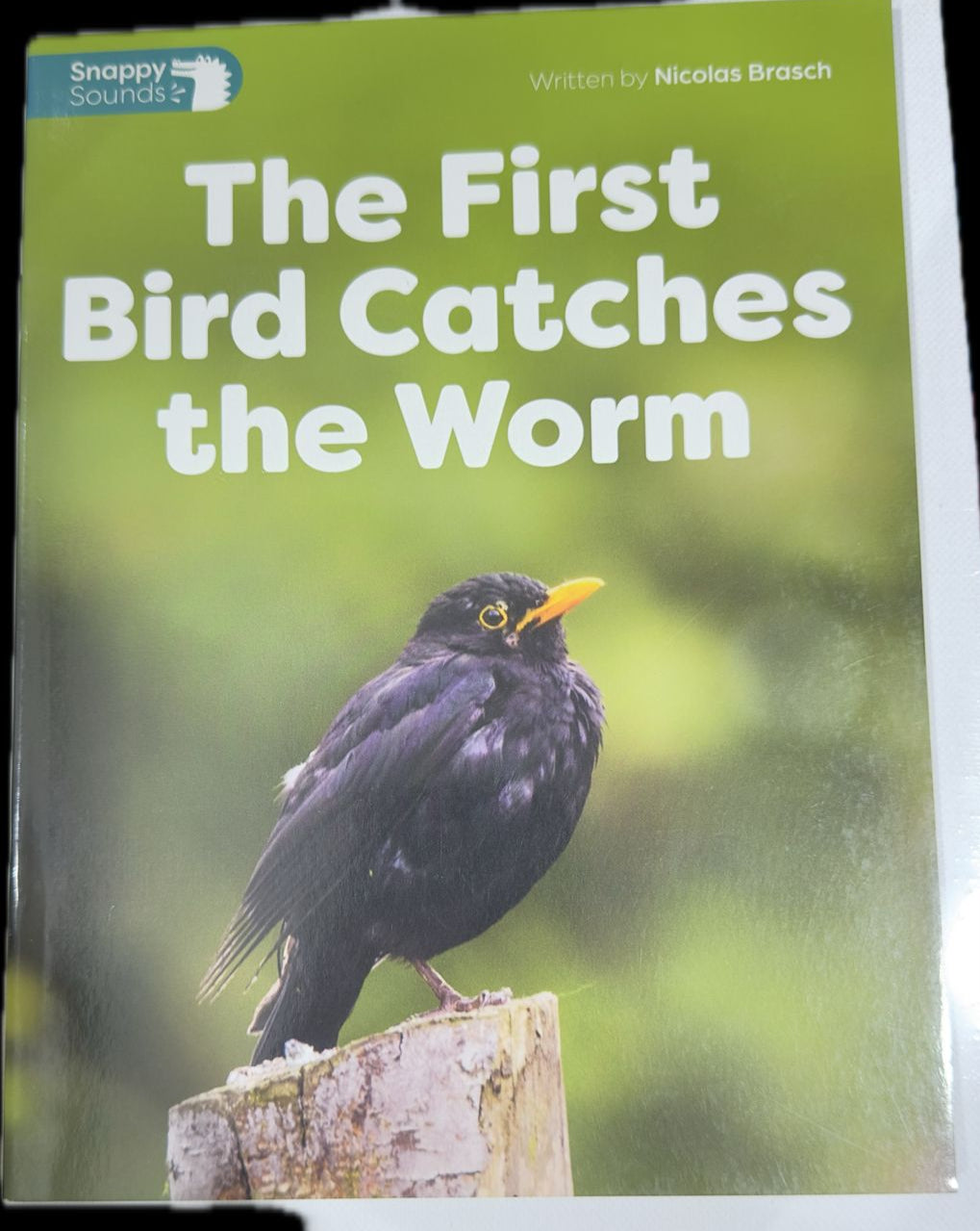 The First Bird Catches the Worm