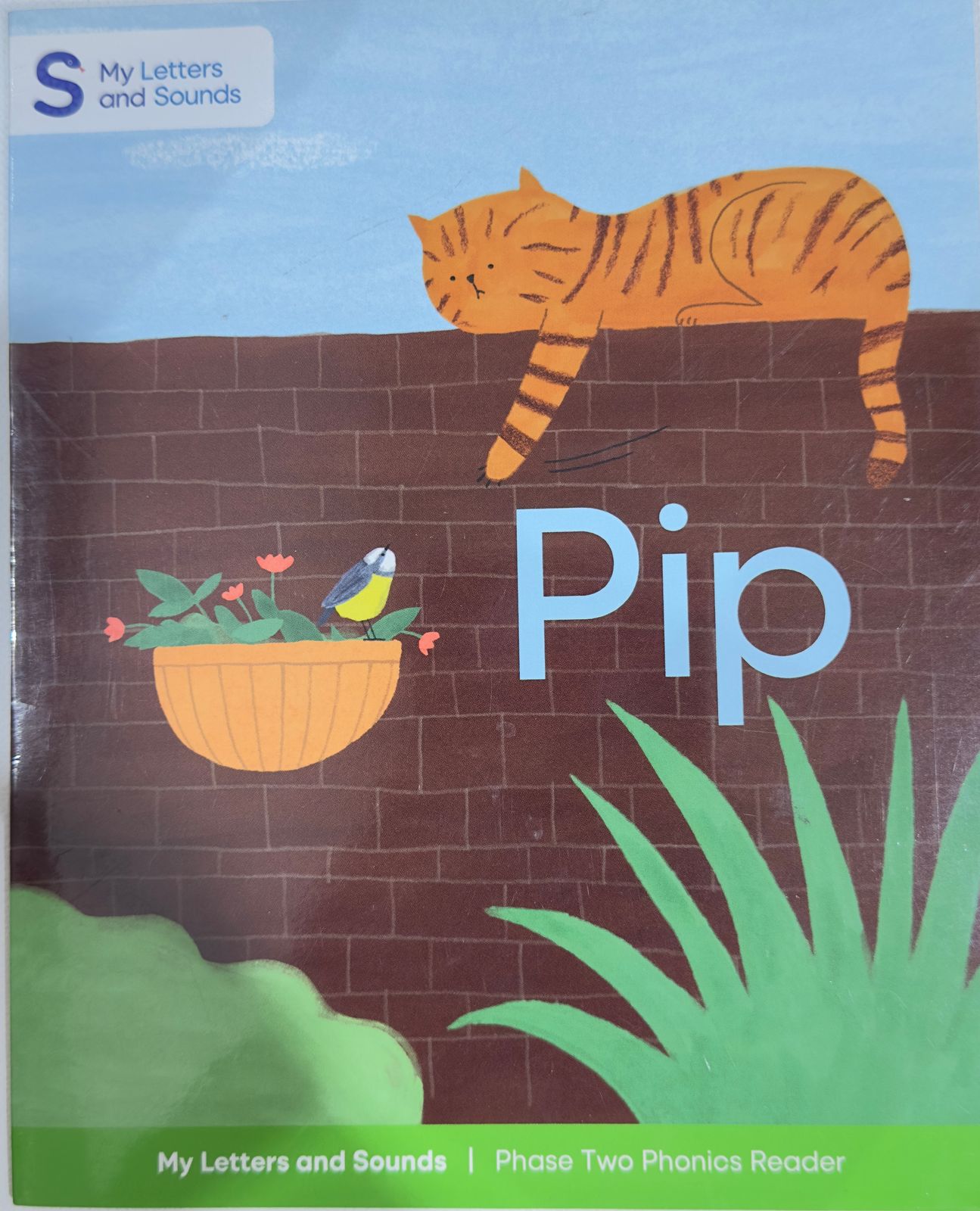Pip (My Letter and Sound)