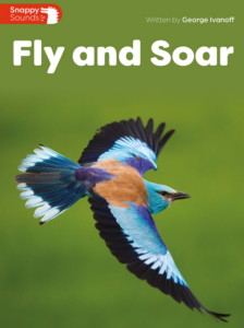 Fly and Soar