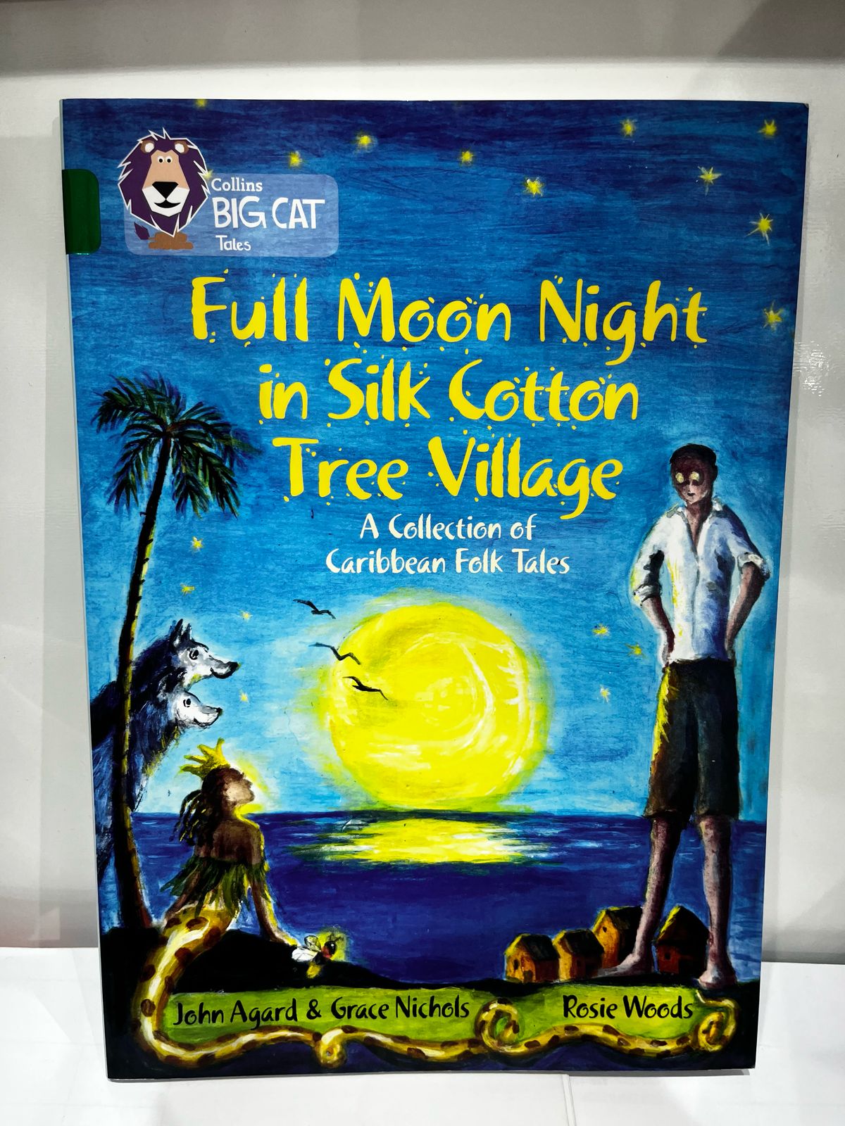 COLLINS BIG CAT - FULL MOON NIGHT IN SILK COTTON TREE VILLAGE