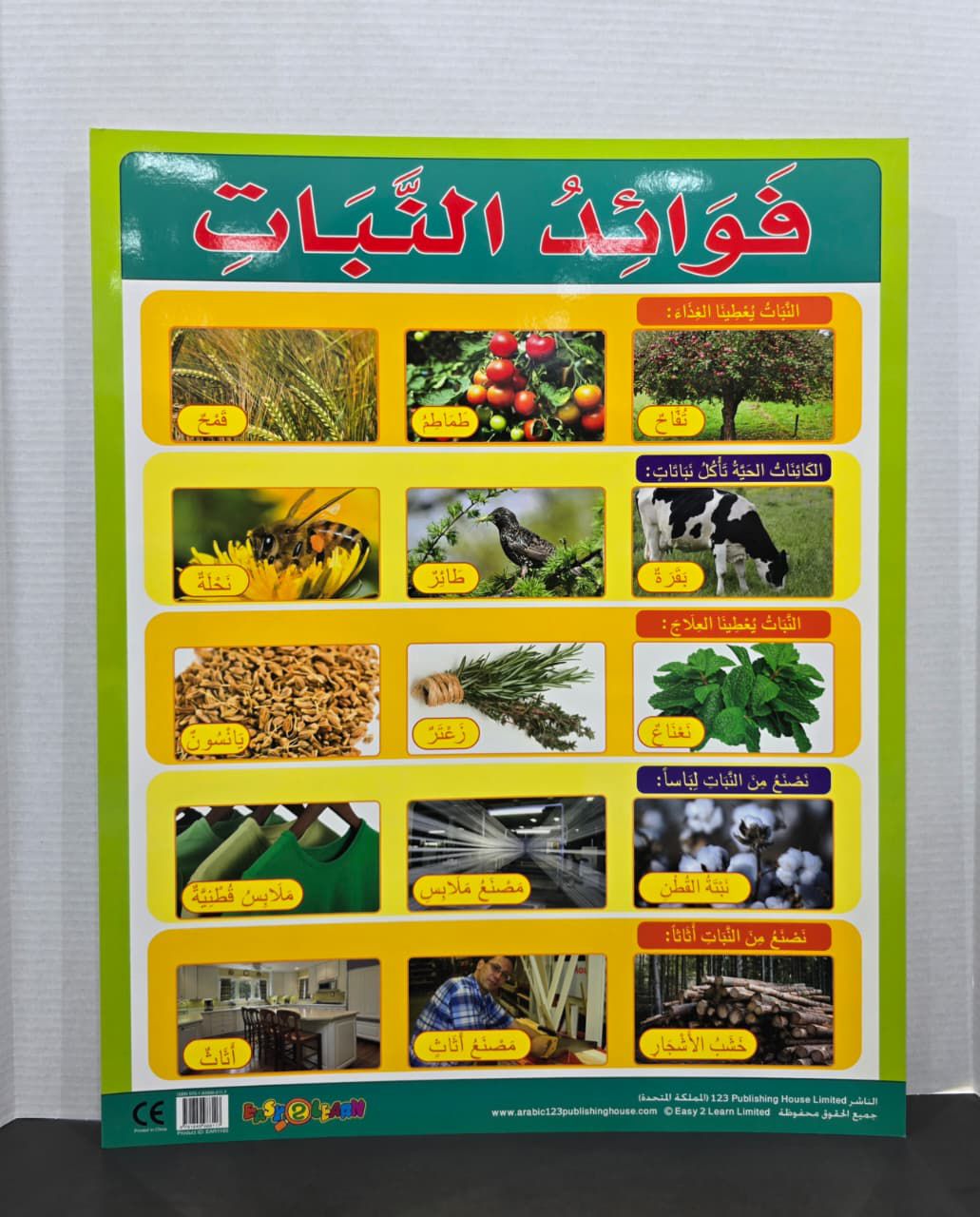 ARABIC CHART BOARD - ( ID# EAR 1195 )