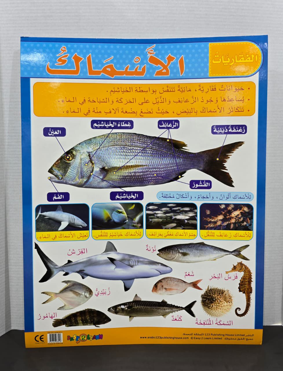 ARABIC CHART BOARD - ( ID# EAR 1136 )