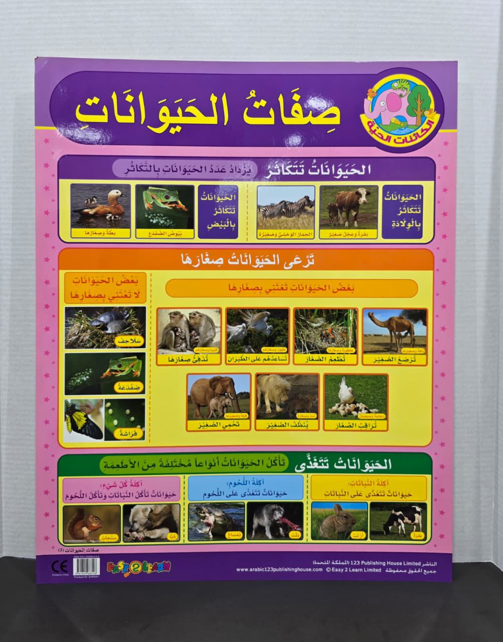 ARABIC CHART BOARD ( ID# EAR 541 )