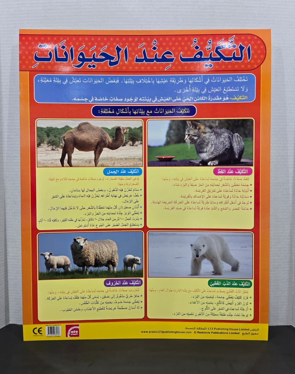 ARABIC CHART BOARD ( ID# RAR 92 )