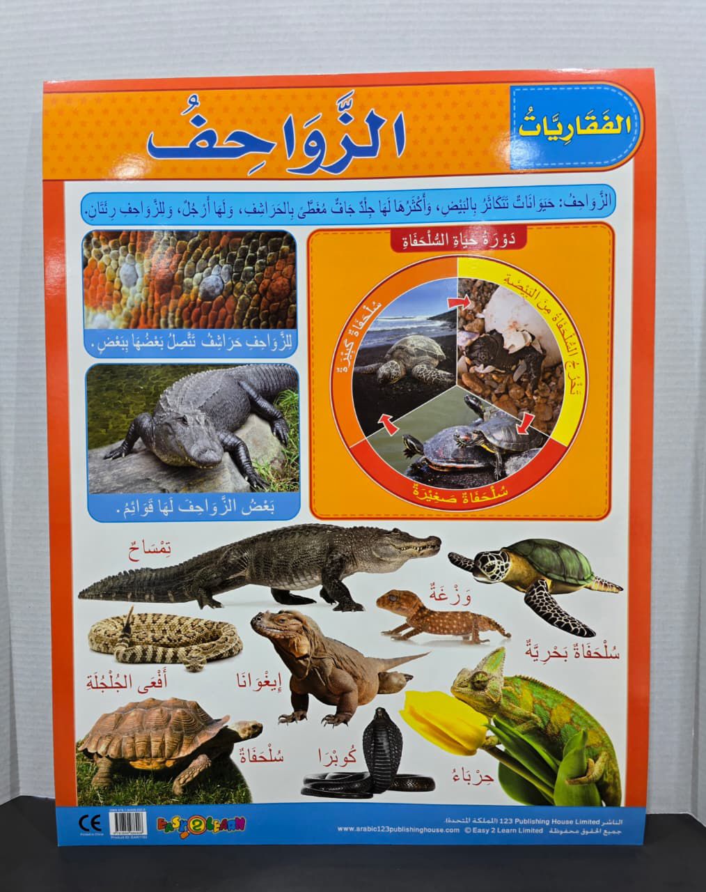 ARABIC CHART BOARD ( ID# EAR 1150 )