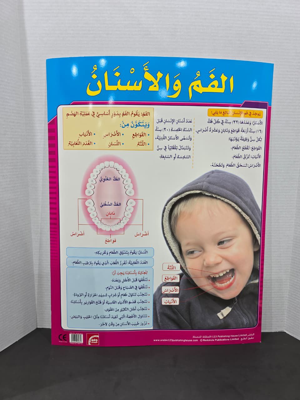 ARABIC CHART BOARD - ID# EAR 379
