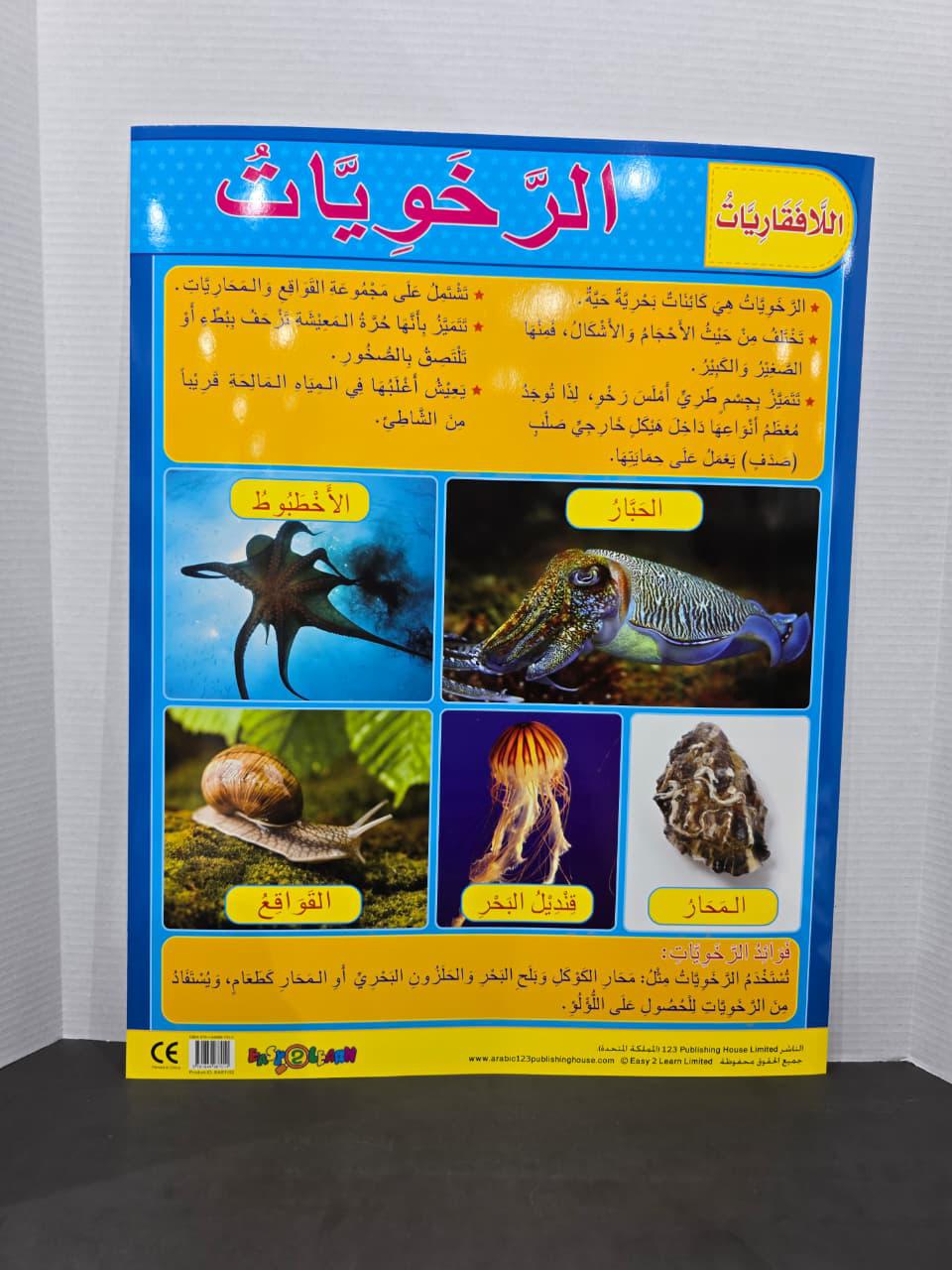 ARABIC CHART BOARD - ID# EAR1152