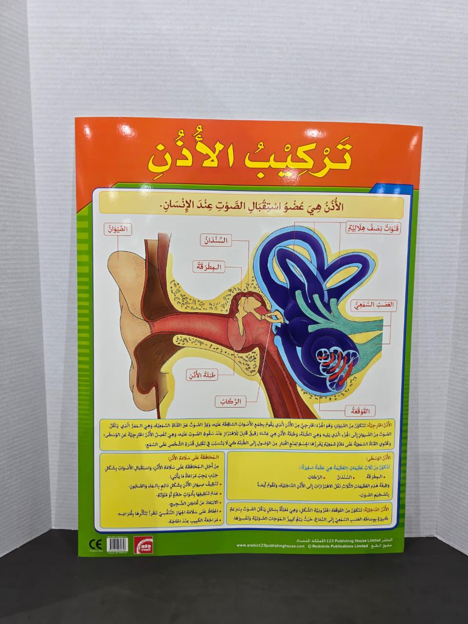 ARABIC CHART BOARD - ID# RAR167