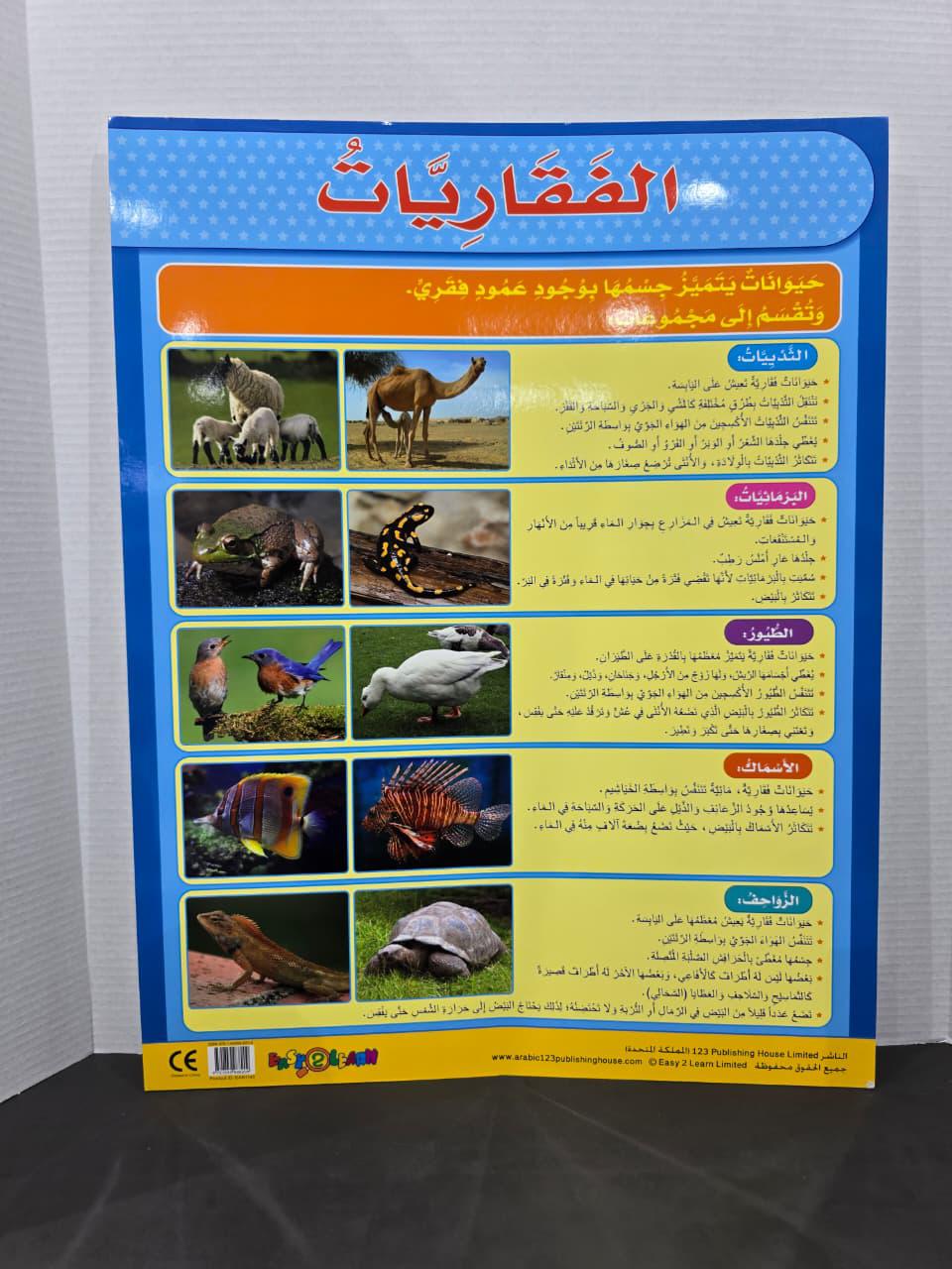 ARABIC CHART BOARD - ID# EAR 1145