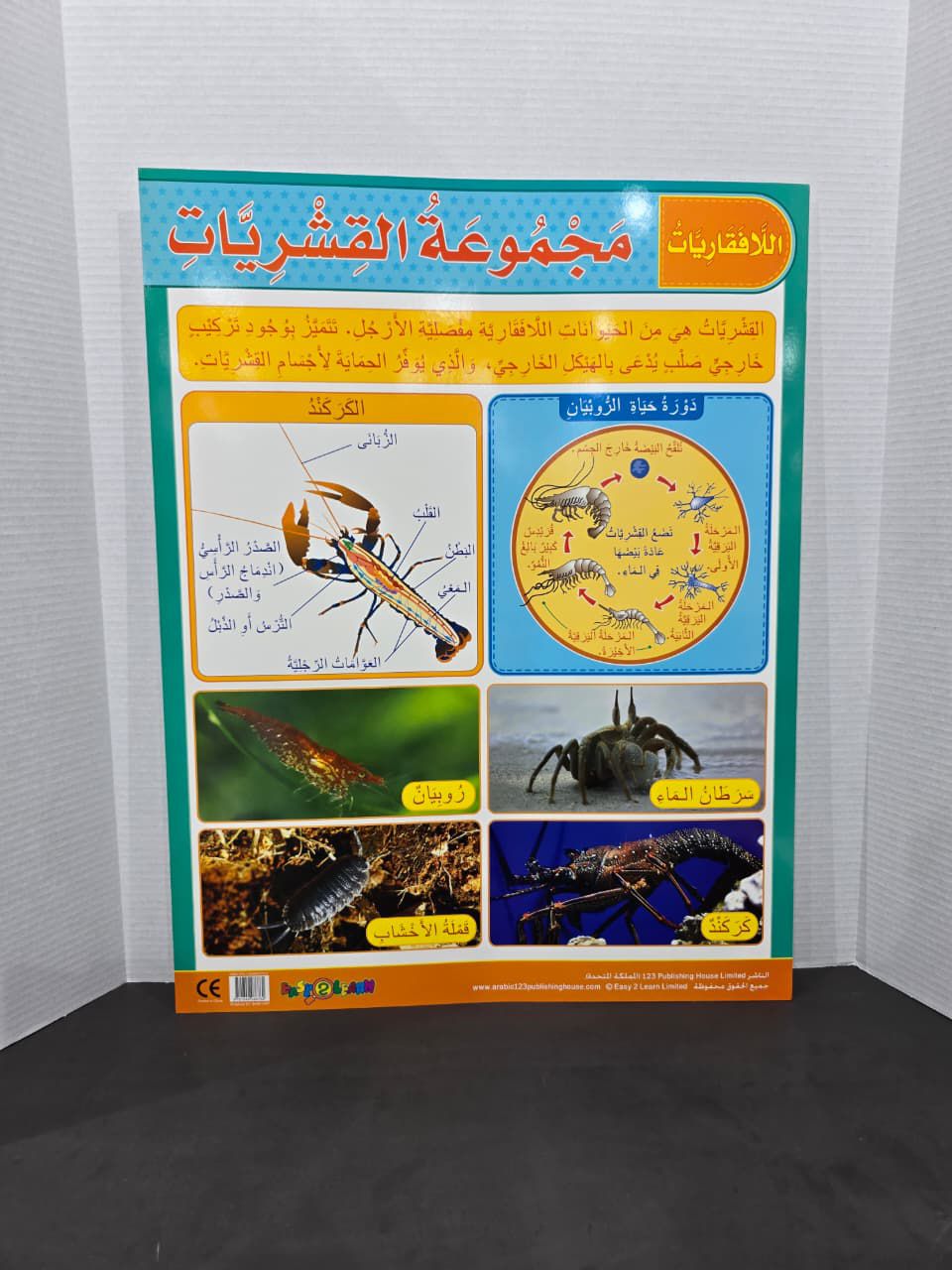 ARABIC CHART BOARD - ID#1147