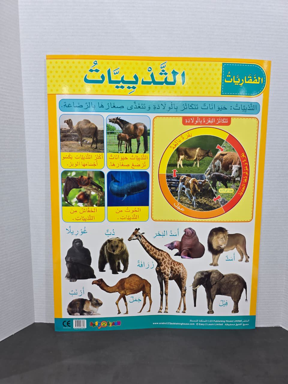 ARABIC CHART BOARD -ID# EAR1127