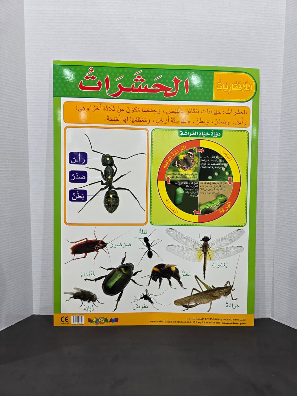 ARABIC CHART BOARD -ID# EAR1128