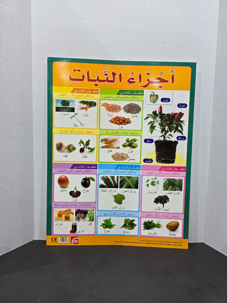 ARABIC CHART BOARD - ID# RAR114