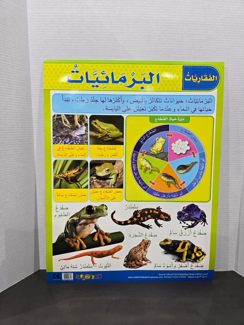 ARABIC CHART BOARD - ID3 EAR1149