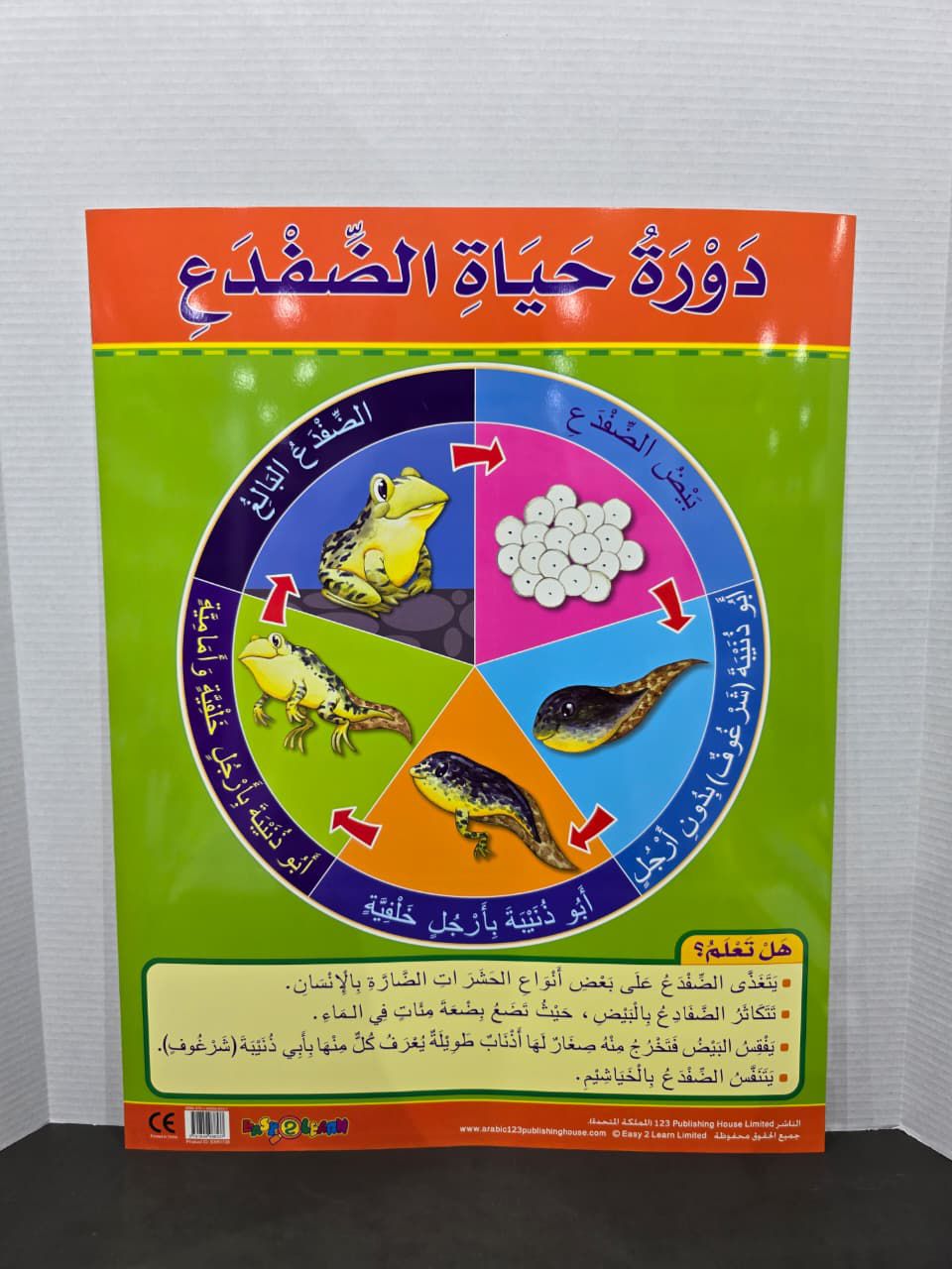 ARABIC CHART BOARD -ID# EAR 1138