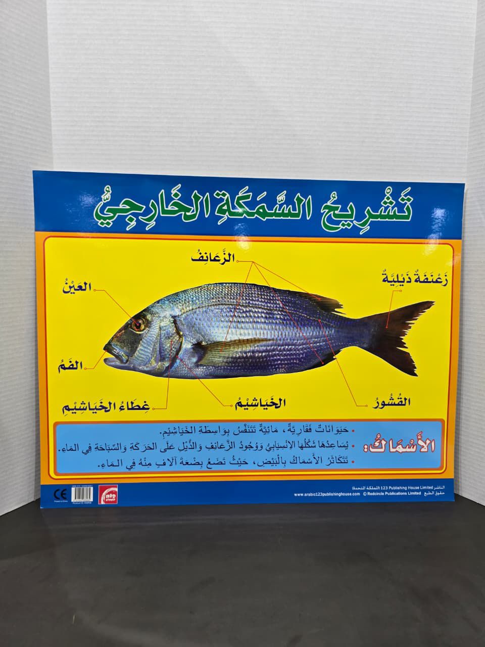 ARABIC CHART BOARD -ID# RAR95