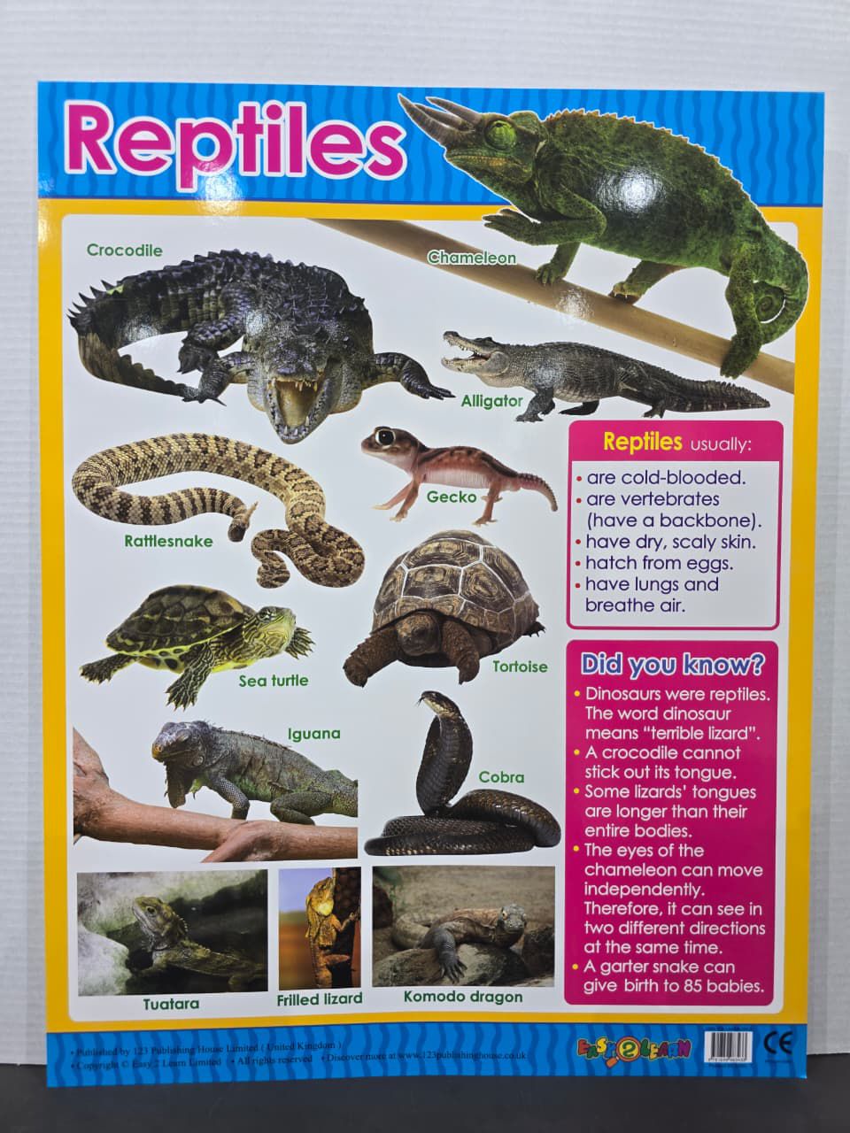 ENGLISH CHART BOARD - ID E582