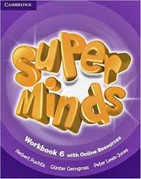 CAMBRIDGE SUPER MIND WORKBOOK 6 WITH ONLINE RESOURCES