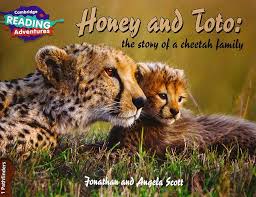 CAMBRIDGE READING ADVENTURE _ HONEY AND TOTO ( the story of a cheetah family ) 1 PATHFINDERS