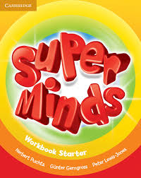 CAMBRIDGE SUPER MINDS WORKBOOK STARTER