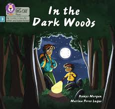 IN THE DARK WOODS ( COLLINS BIG CAT PHONICS FOR LETTERS AND SOUND ) RED B BAND 2B