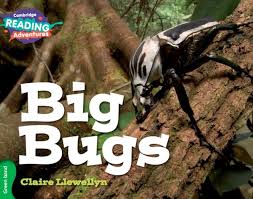 CAMBRIDGE READING ADVENTURE - BIG BUGS ( GREEEN BAND )