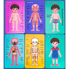 EDUCATIONAL TOYS BOY BODY STRUCTURE PUZZLE