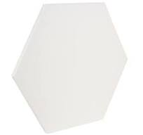 ART MAX HEXAGON CANVAS