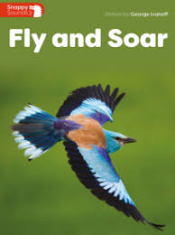 SNAPPY SOUND - FLY AND SOAR