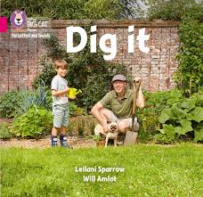 COLLINS BIG CAT - DIG IT ( PINK B BAND 1B )