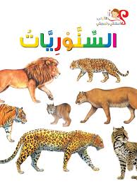 The story of the cats