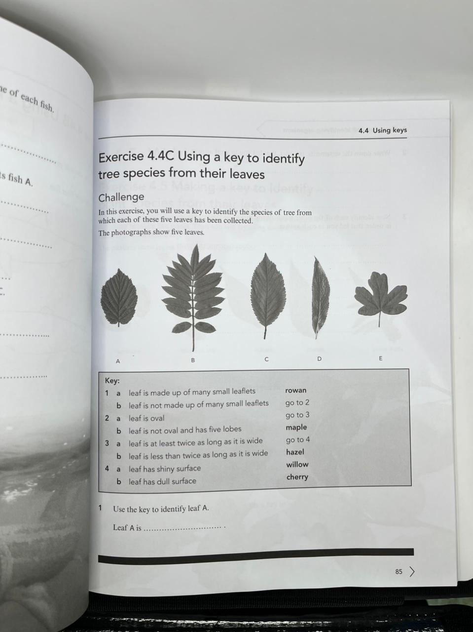 CAMBRIDGE LOWER SECONDARY SCIENCE WORKBOOK 7 SECOND EDITION