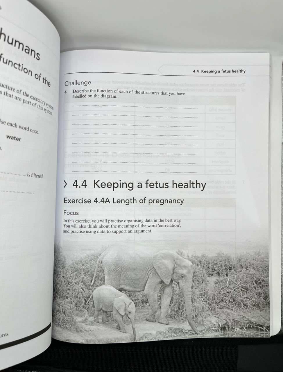 CAMBRIDGE LOWER SECONDARY SCIENCE 2E DIGITAL ACCESS WORKBOOK 9