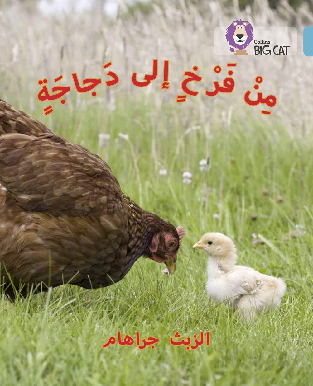 Chick to Hen: (Level 7) (Collins Big Cat Arabic)