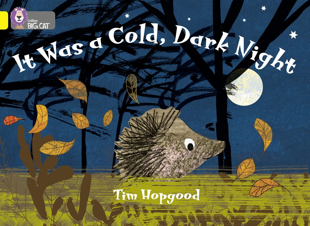 It Was a Cold Dark Night  (Collins Big Cat)