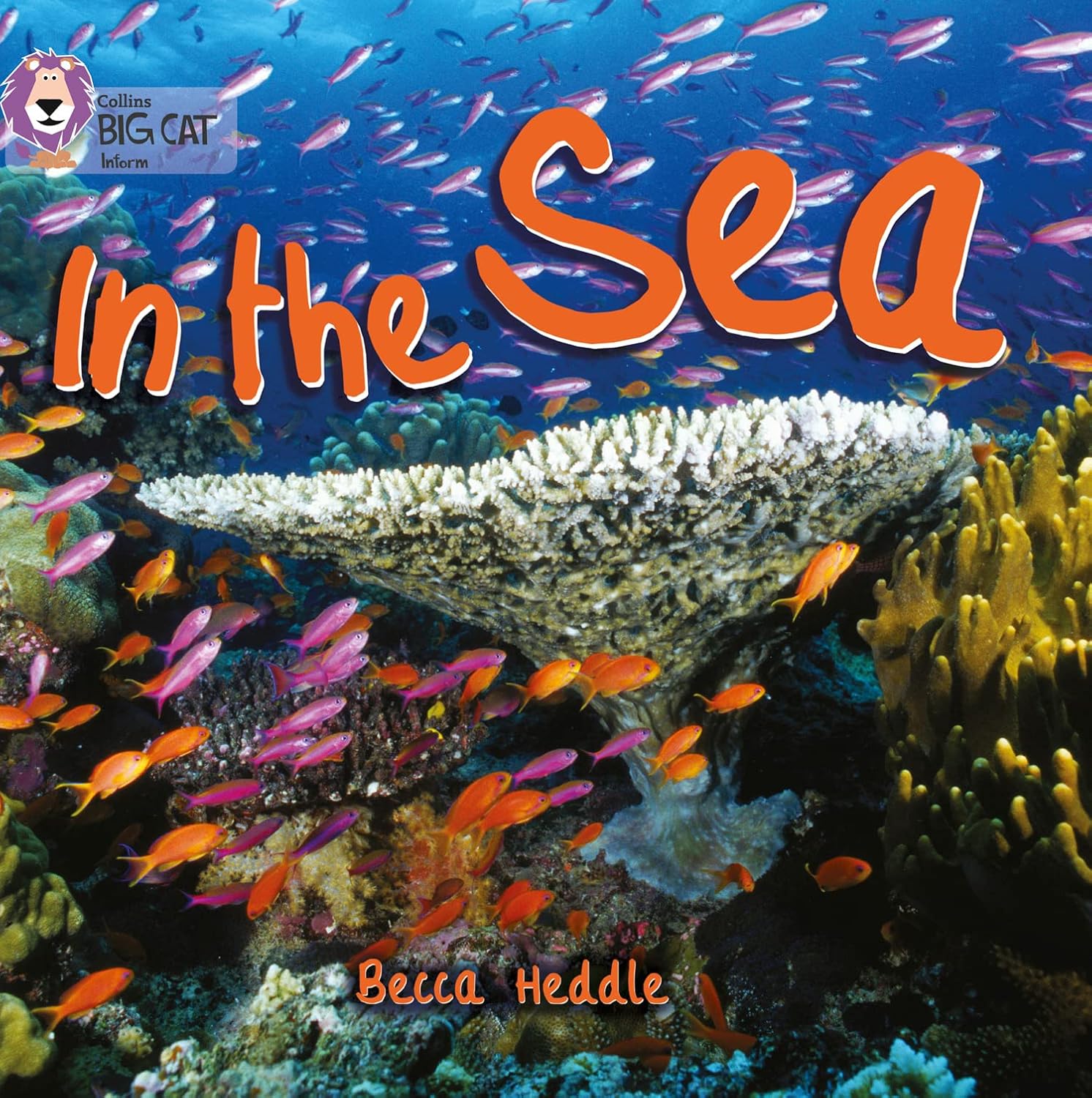 In the Sea: (Collins Big Cat)